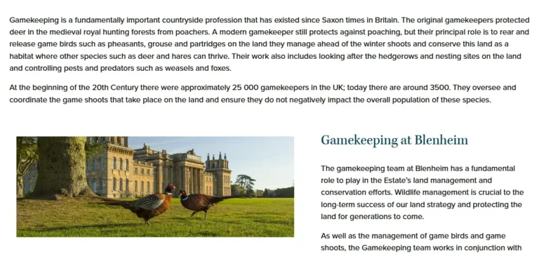 Blenheim and gamekeeping