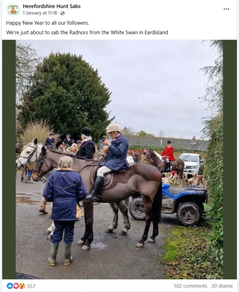 white swan eardisland radnor and west herefords hunt