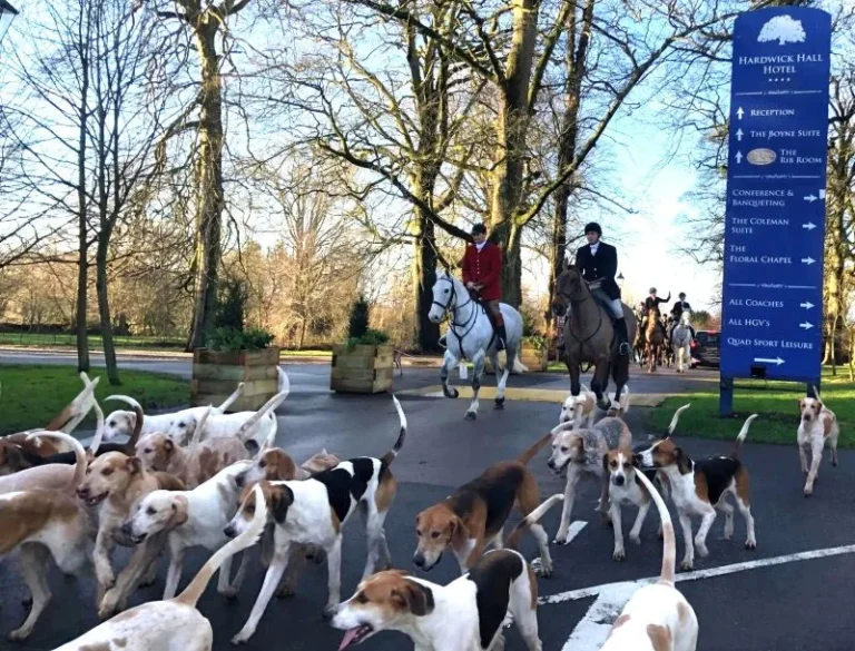 hardwick hall south durham hunt