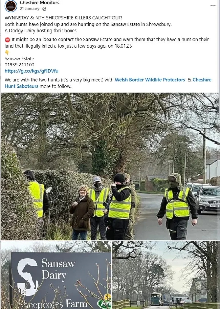 north shropshire hunt wynnsytay hunt sansaw estater cheshire borderland monitors