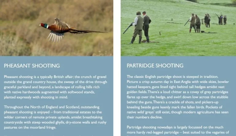 davis & bowring shooting