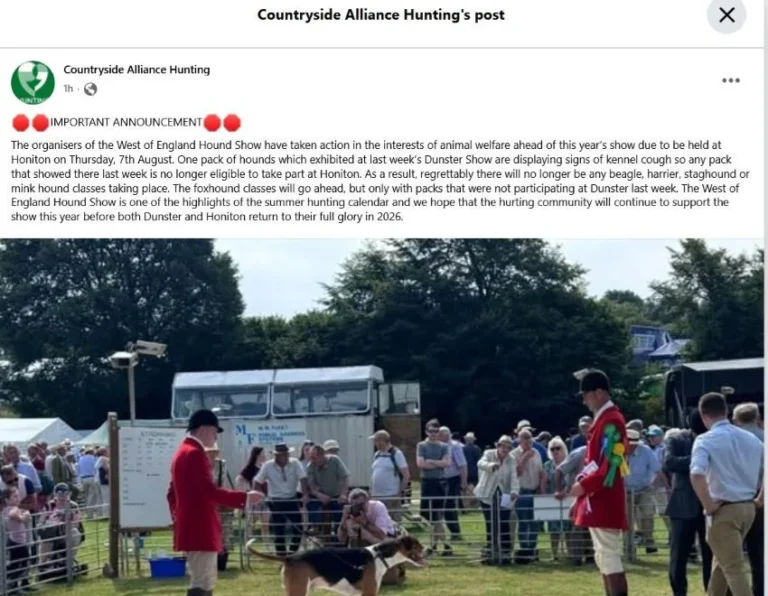 countryside alliance hunting honiton show august 2025