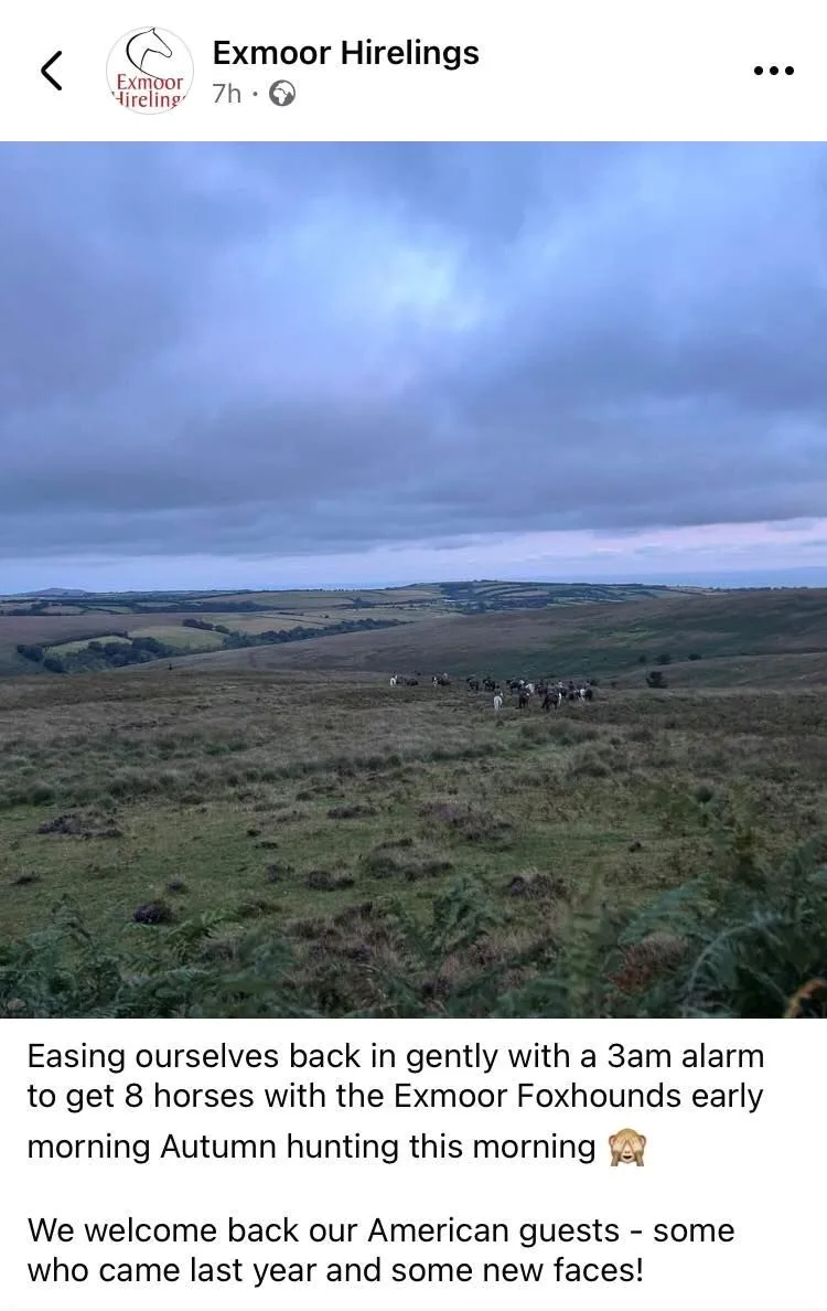 exmoor hirelings proincess anne hunt august 2025