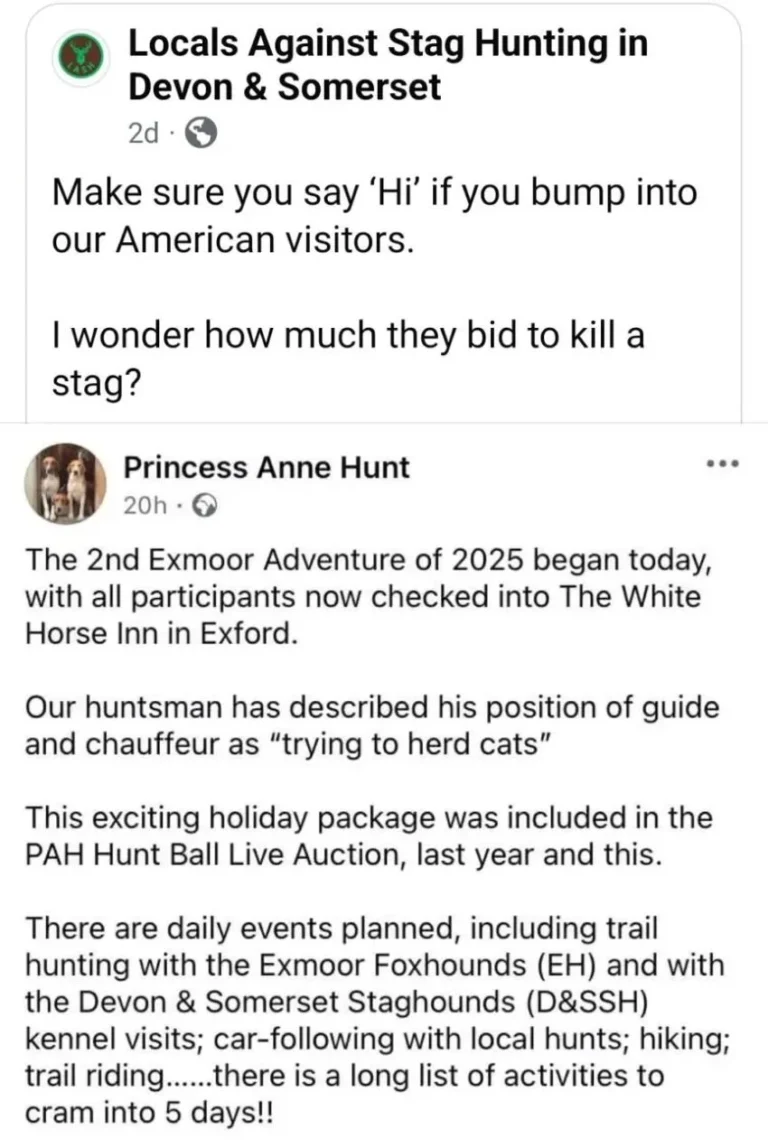 princess anne hunt exmoor white horse Inn