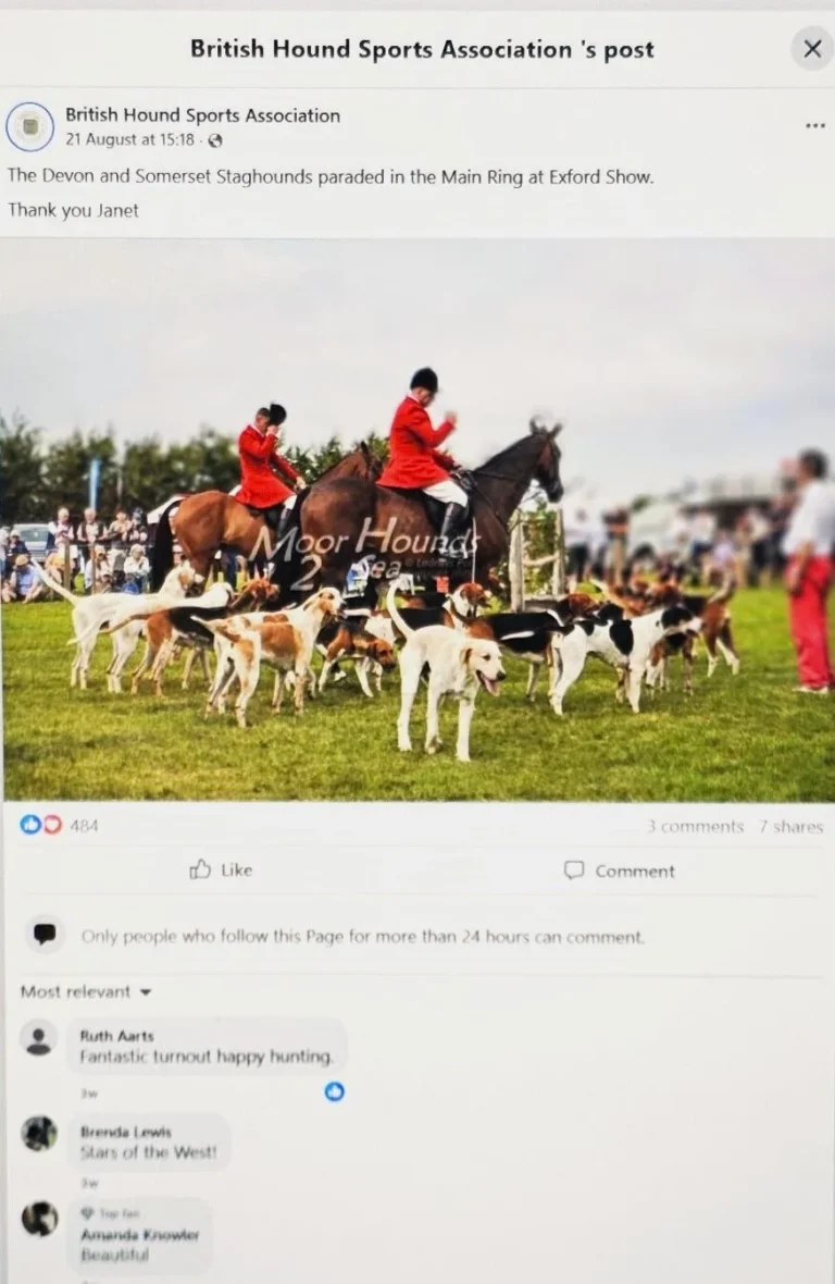 BHSA Devon and Somerset Hounds Exford Show