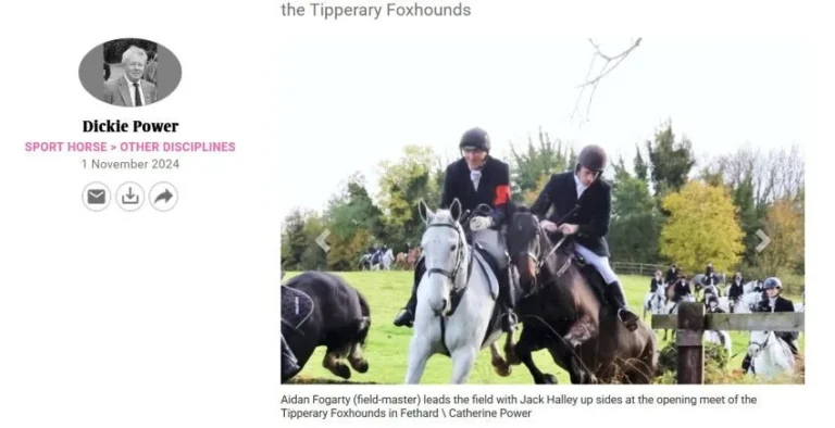 hayes hotel tipperary foxhounds county tipperary