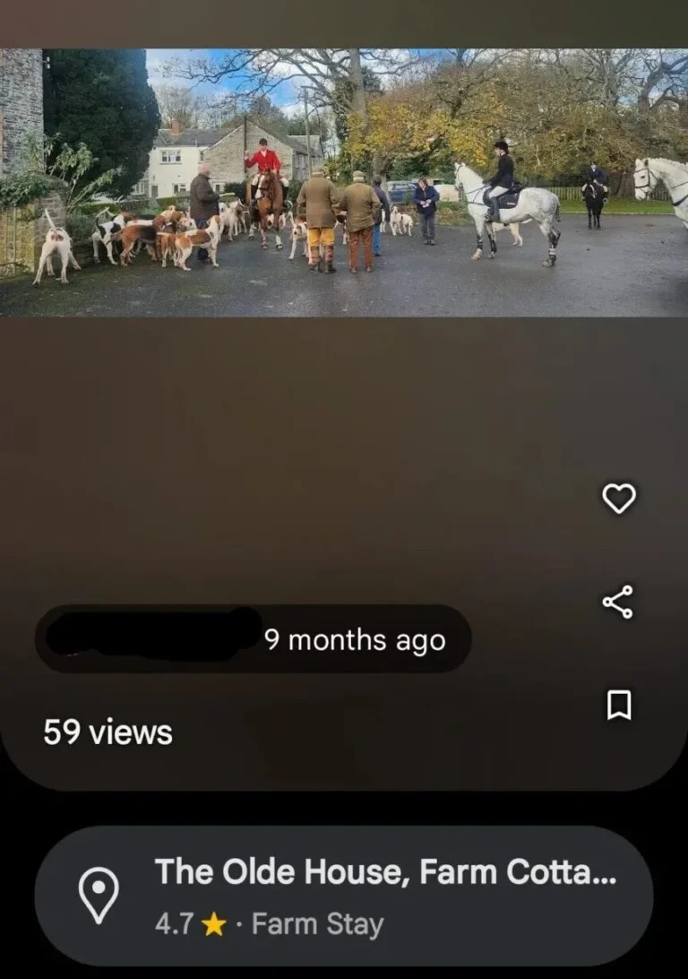 olde house north cornwall hunt