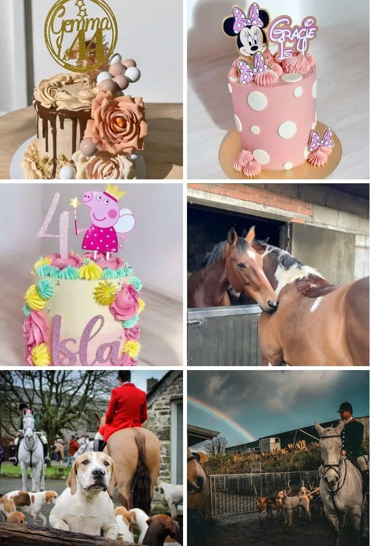 rachael darling cakes pro hunt