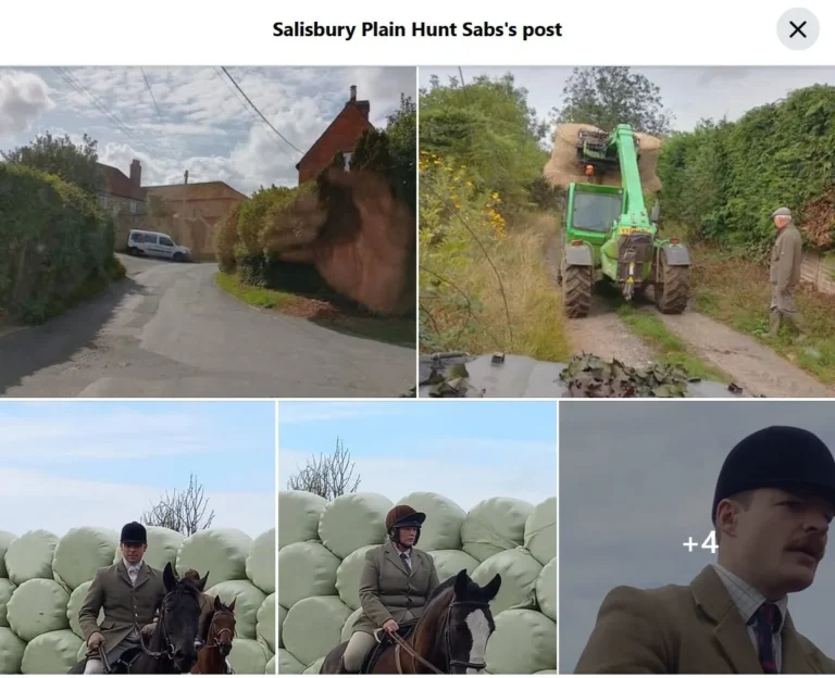 salisbury plain hunt sabs royal artillery hunt rew farm spetember 2025